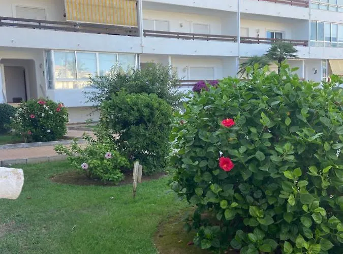 公寓 Vistas Al Mar Playa De Bovetes *