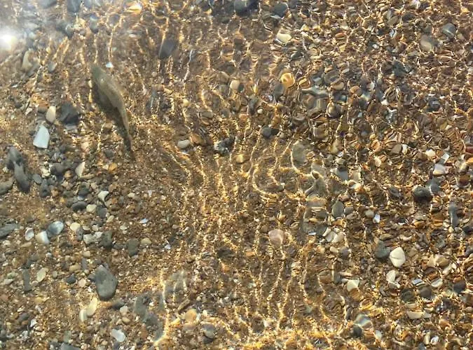 公寓 Vistas Al Mar Playa De Bovetes 德尼亚