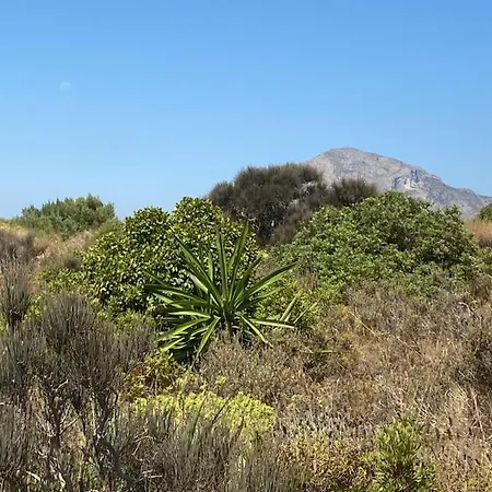 Vistas Al Mar Playa De Bovetes * Denia