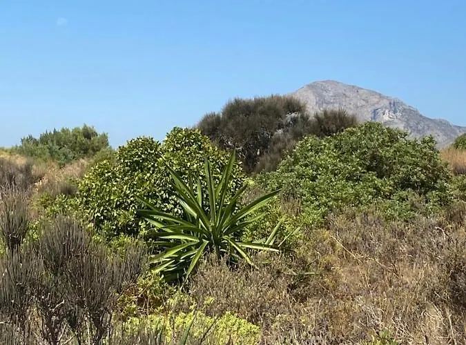 Vistas Al Mar Playa De Bovetes * Denia
